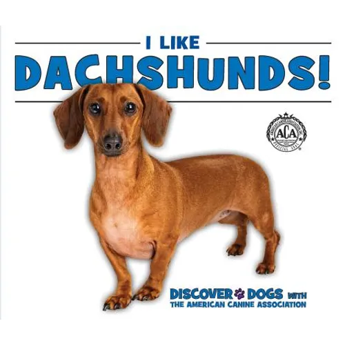 I Like Dachshunds!