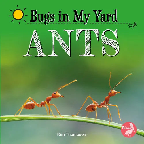 Ants