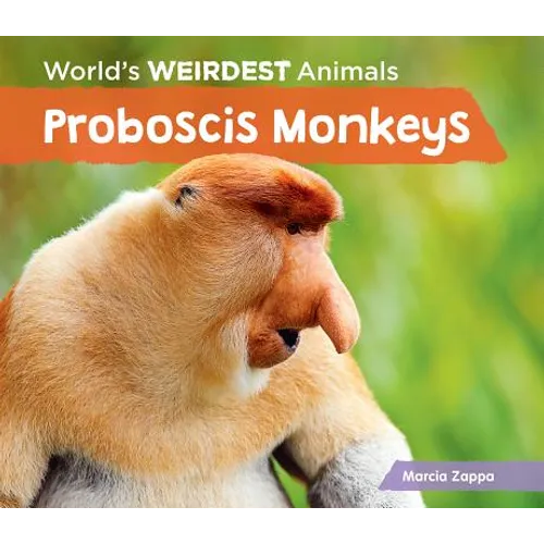 Proboscis Monkeys