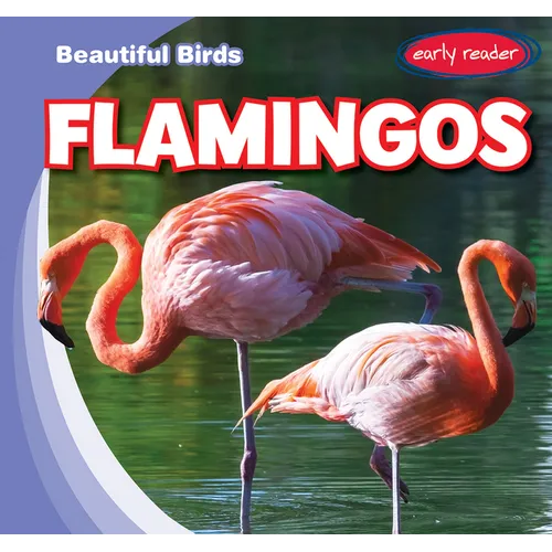 Flamingos