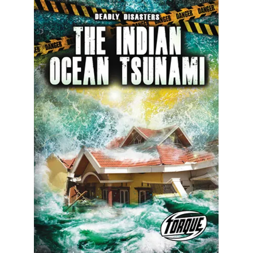 The Indian Ocean Tsunami