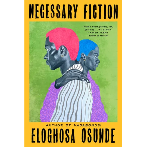 Necessary Fiction