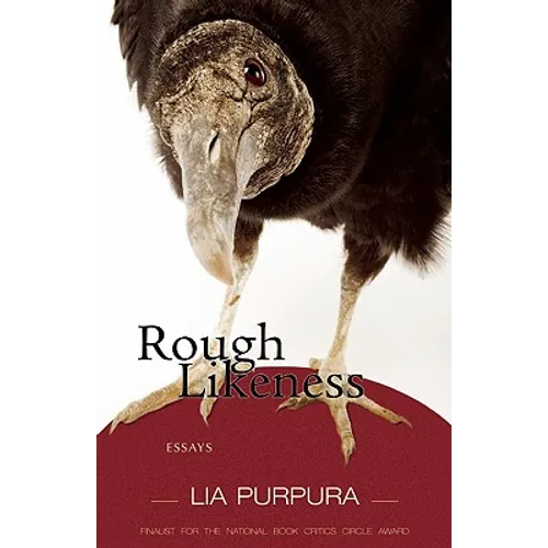 Rough Likeness: Essays