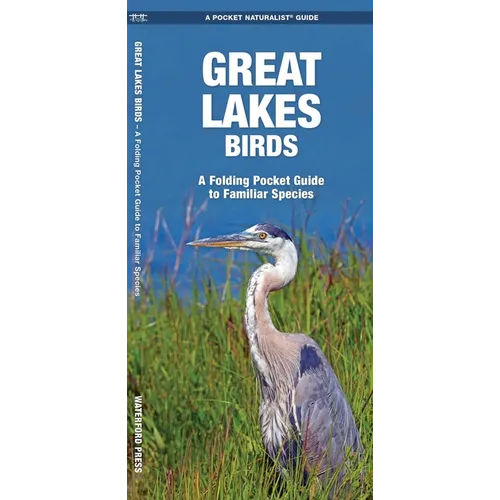 Great Lakes Birds: An Introduction to Familiar Species