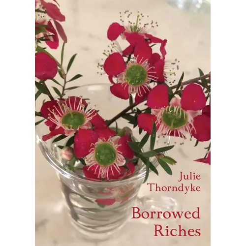 Borrowed Riches
