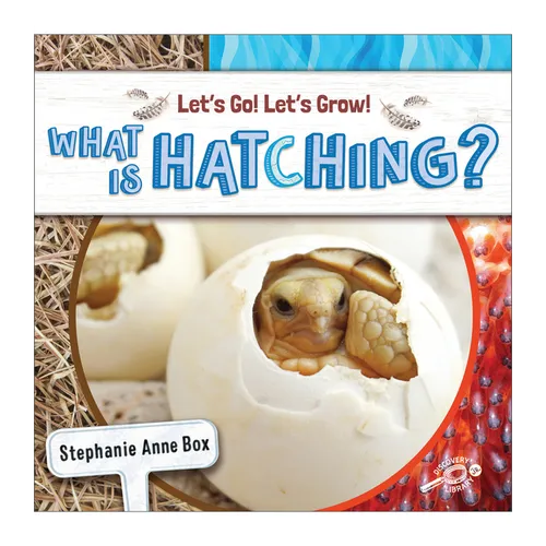 What Is Hatching?