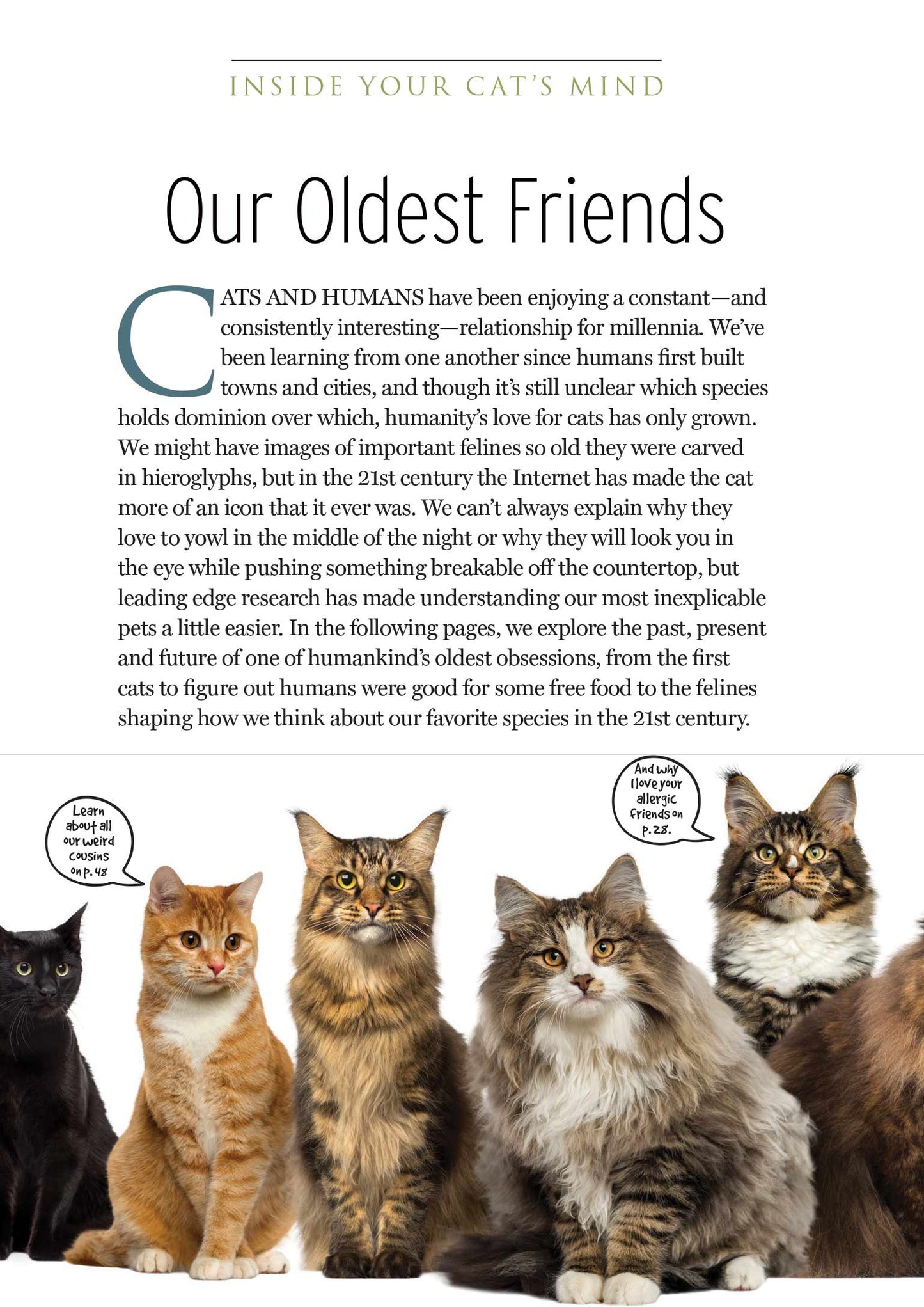 Inside Your Cat's Mind - Guide to Speak Fluent Feline, History & Evolution, 5 Ways To Get A Cat To Like You, FAQs, Cat Royalty, Kittens, Stats, Fun Facts, Championship Breeds, Health Benefits & More!