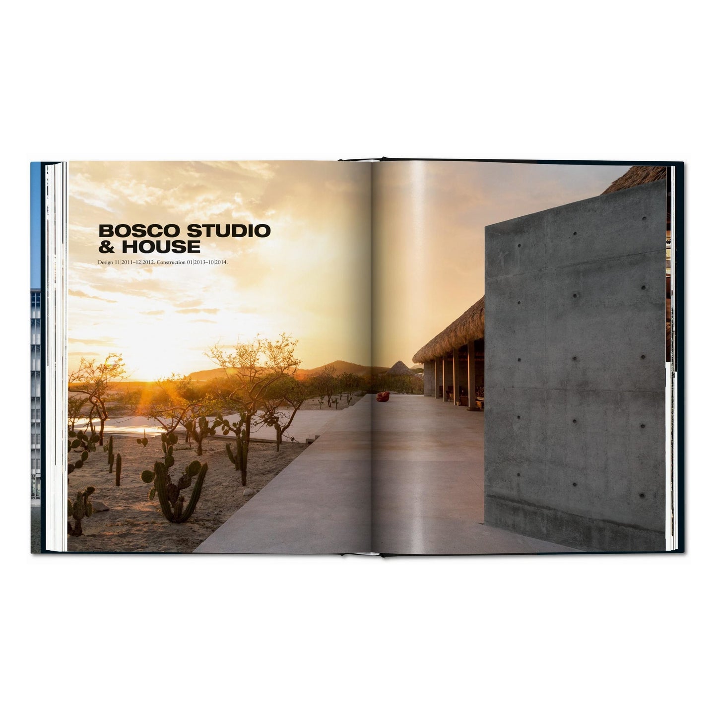 Ando. Complete Works 1975–Today (German, French, English) Book