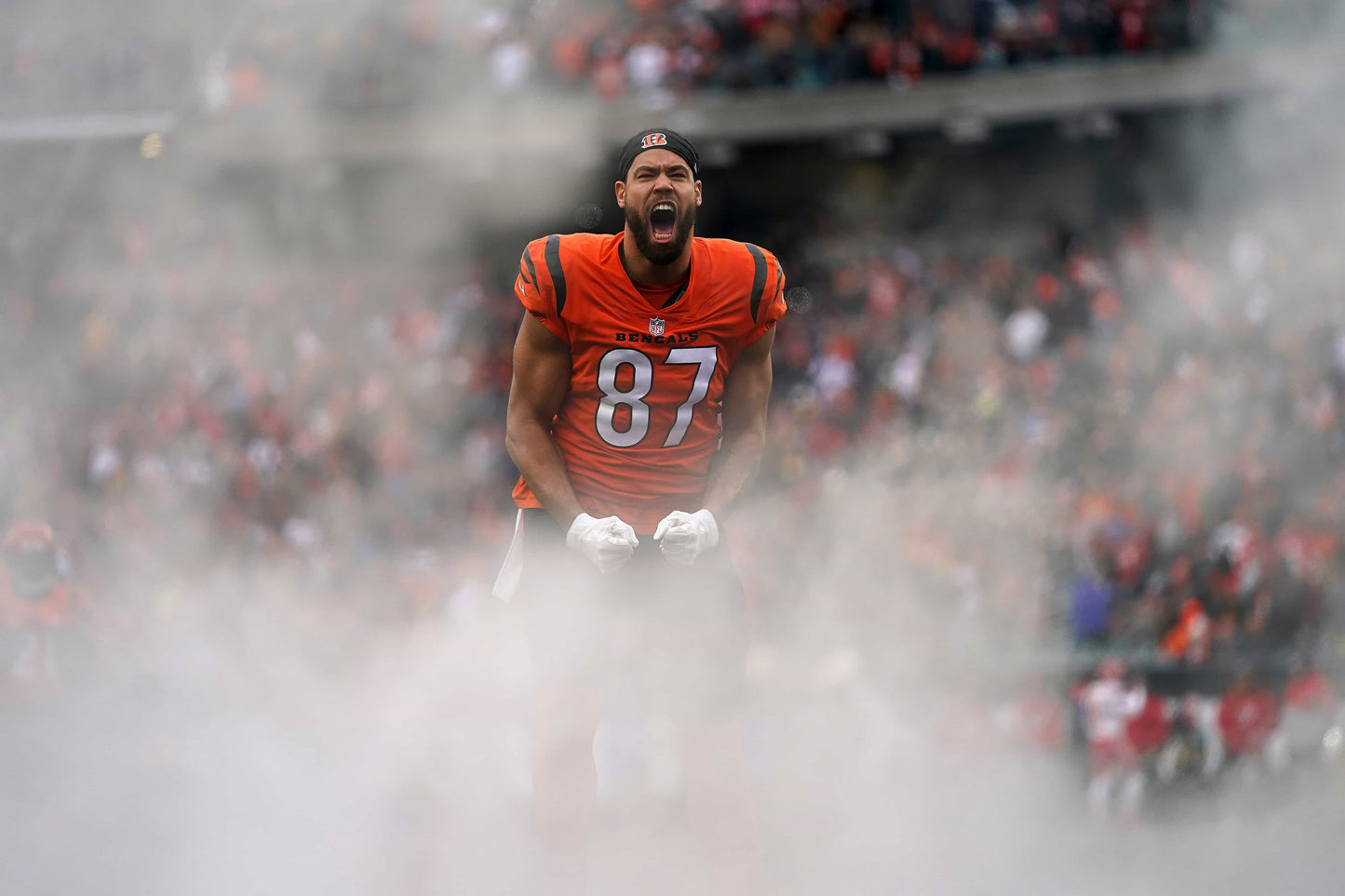 Rule Them All: How the Cincinnati Bengals Captured Their First AFC Title in Three Decades Book