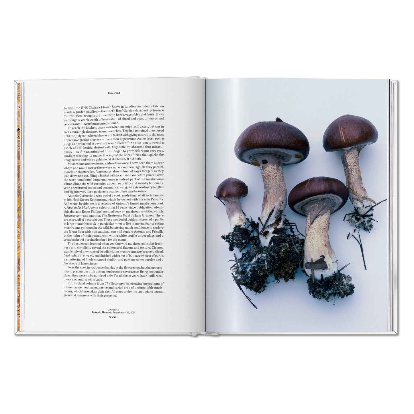 The Gourmand's Mushroom. A Collection of Stories and Recipes (English) Book