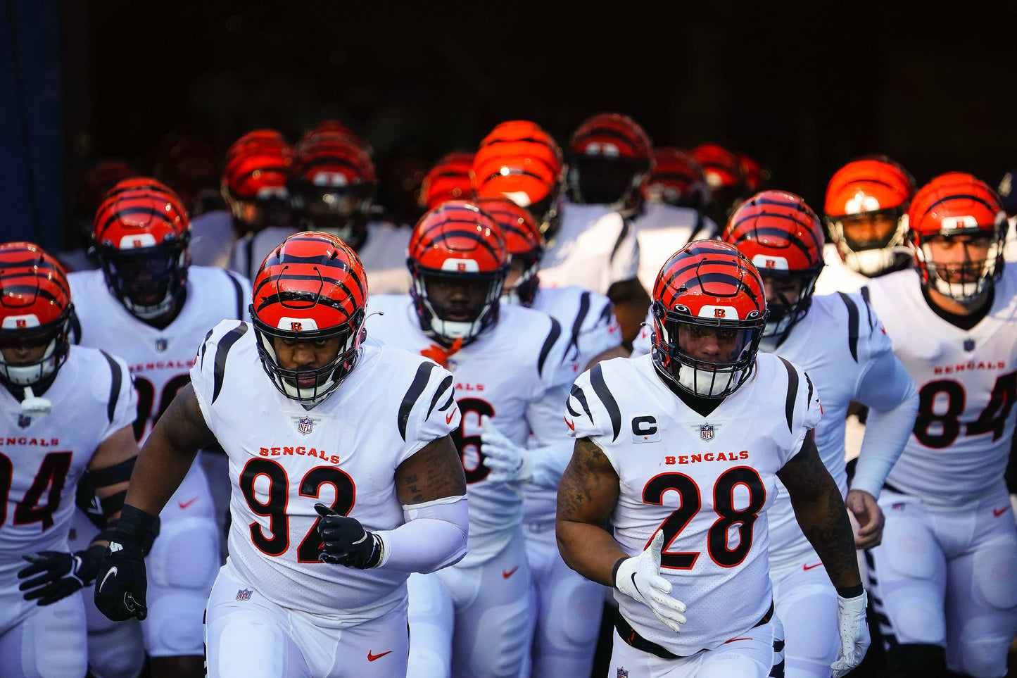Rule Them All: How the Cincinnati Bengals Captured Their First AFC Title in Three Decades Book
