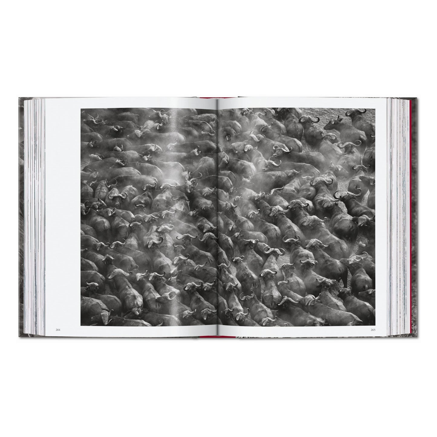 Sebastião Salgado. Genesis. 45th Ed. (English) Book