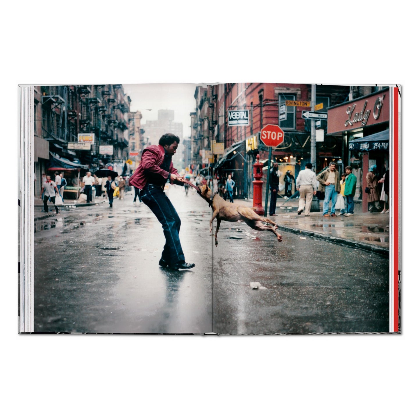 New York. Portrait of a City (English) Book