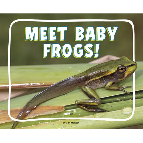 Meet Baby Frogs!