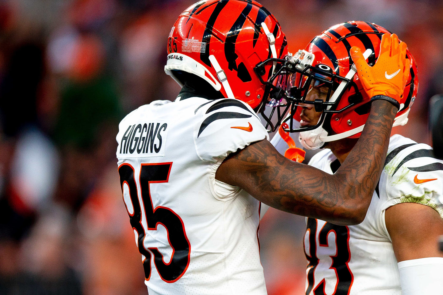 Rule Them All: How the Cincinnati Bengals Captured Their First AFC Title in Three Decades Book