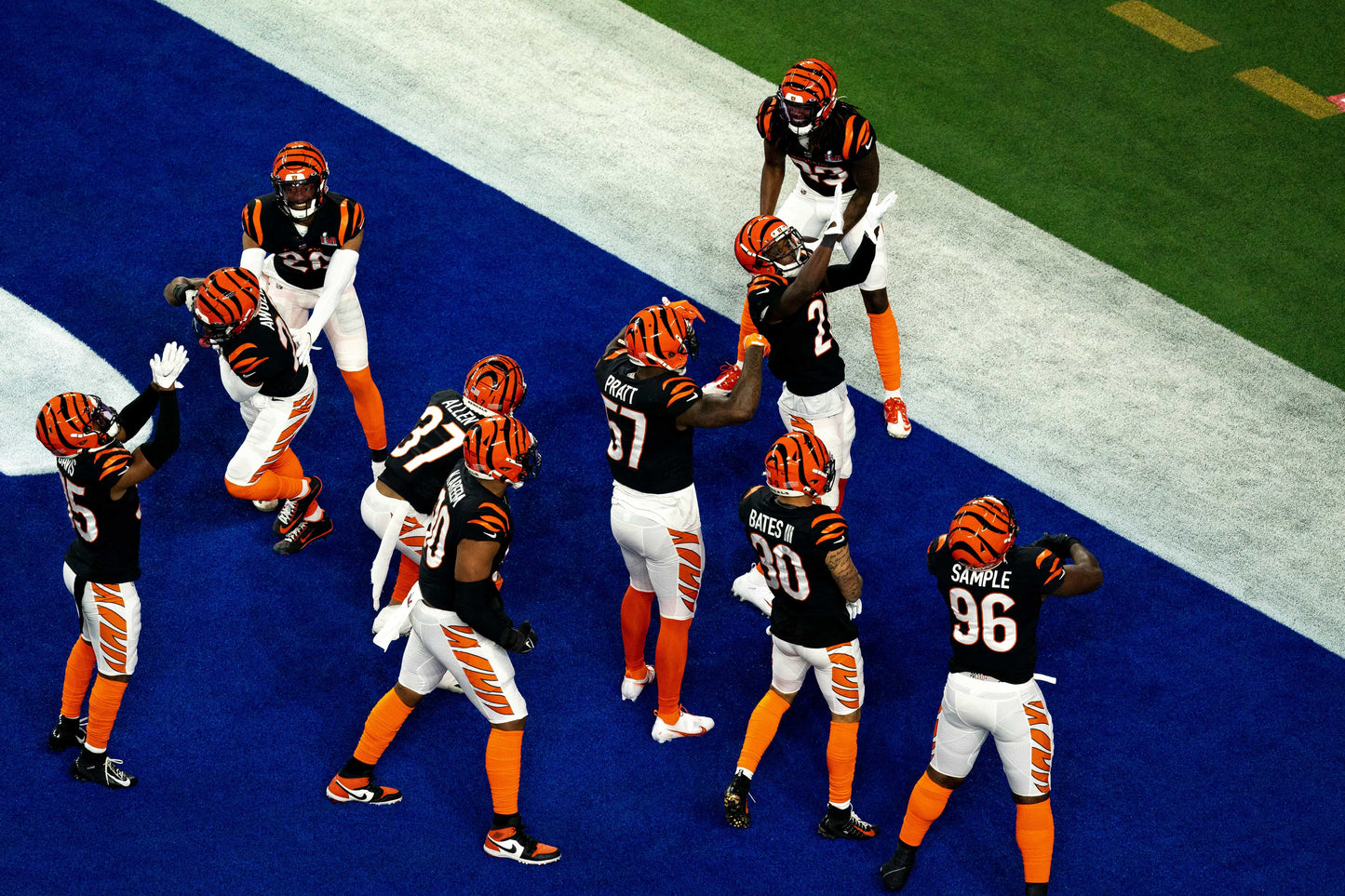 Rule Them All: How the Cincinnati Bengals Captured Their First AFC Title in Three Decades Book