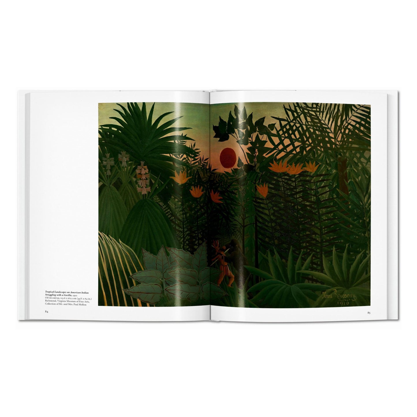 Rousseau (English) Book