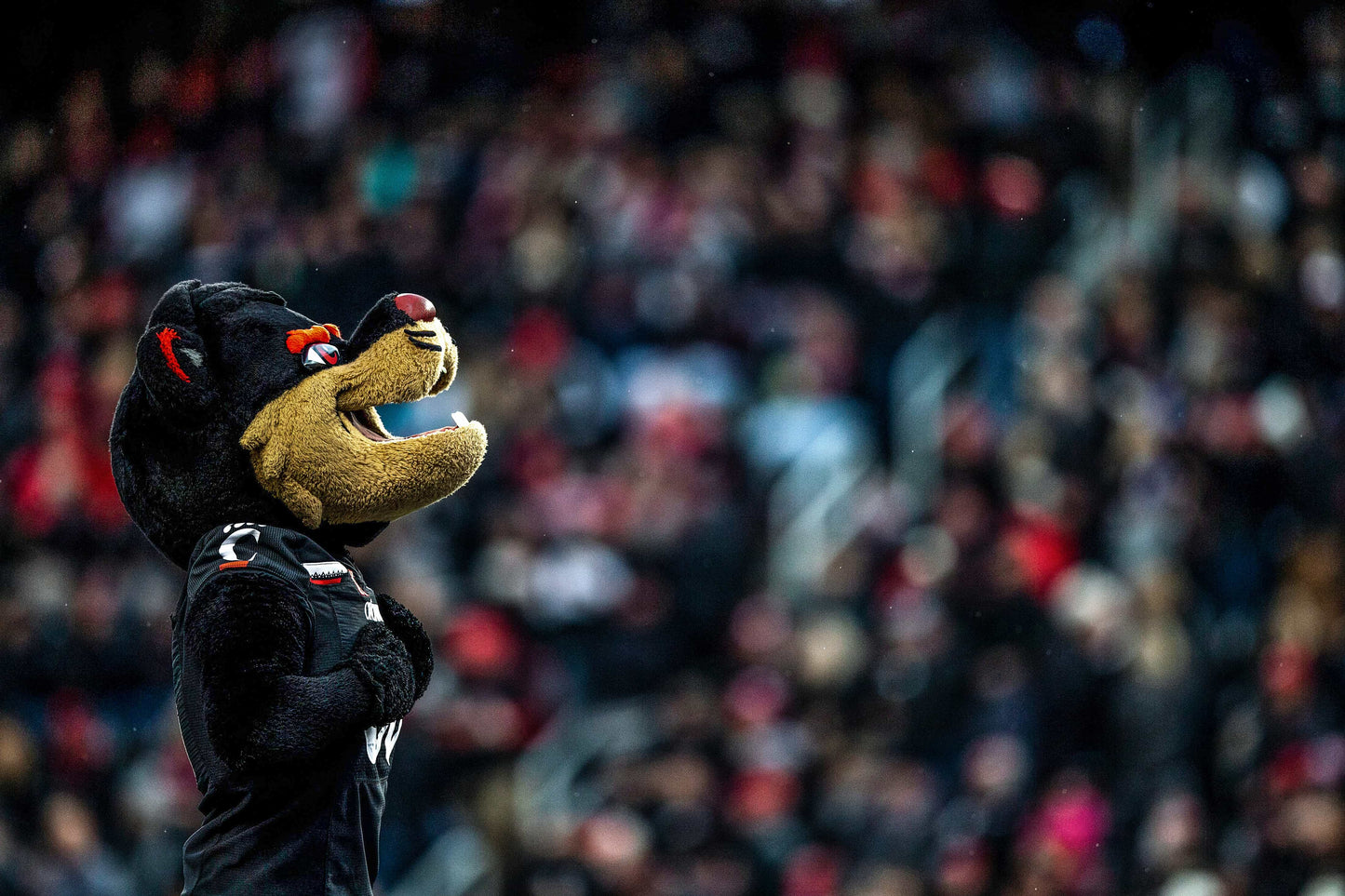 Breaking Down Barriers: How the Cincinnati Bearcats Crashed the College Football Playoff Party Book