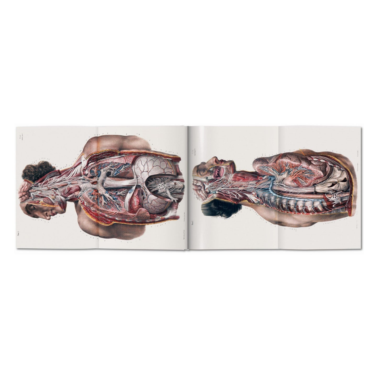 Bourgery. Atlas of Human Anatomy and Surgery (German, French, English) Book