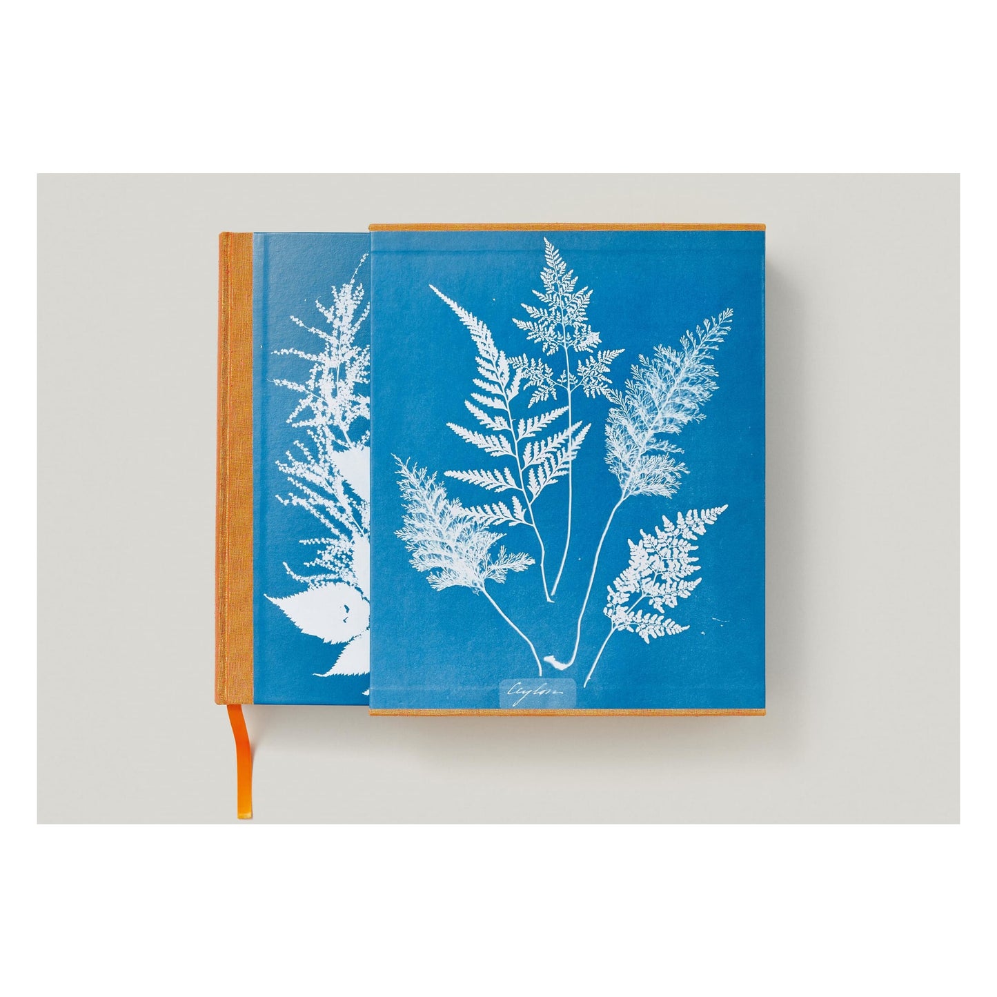 Anna Atkins. Cyanotypes (German, French, English) (FFE) Book