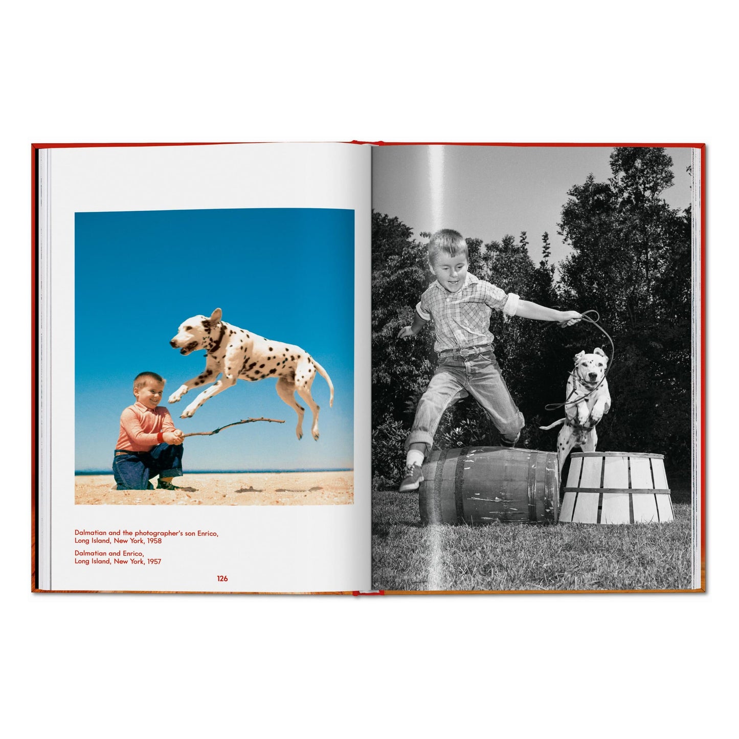Walter Chandoha. Dogs. Photographs 1941–1991 (English) Book