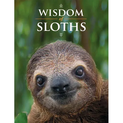 Wisdom of Sloths