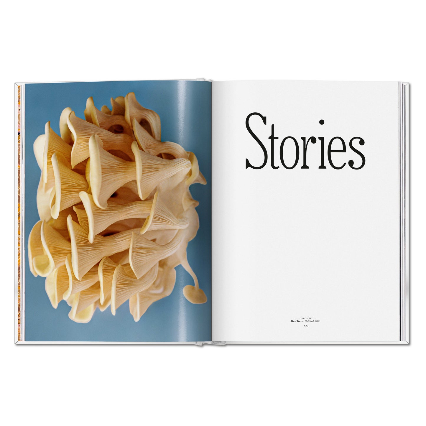 The Gourmand's Mushroom. A Collection of Stories and Recipes (English) Book