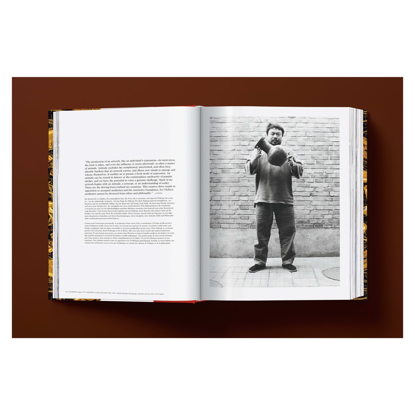 Ai Weiwei. Updated Edition (German, French, English) Book