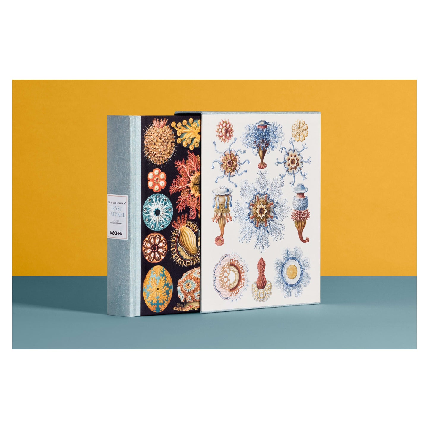 The Art and Science of Ernst Haeckel (German, French, English) Book