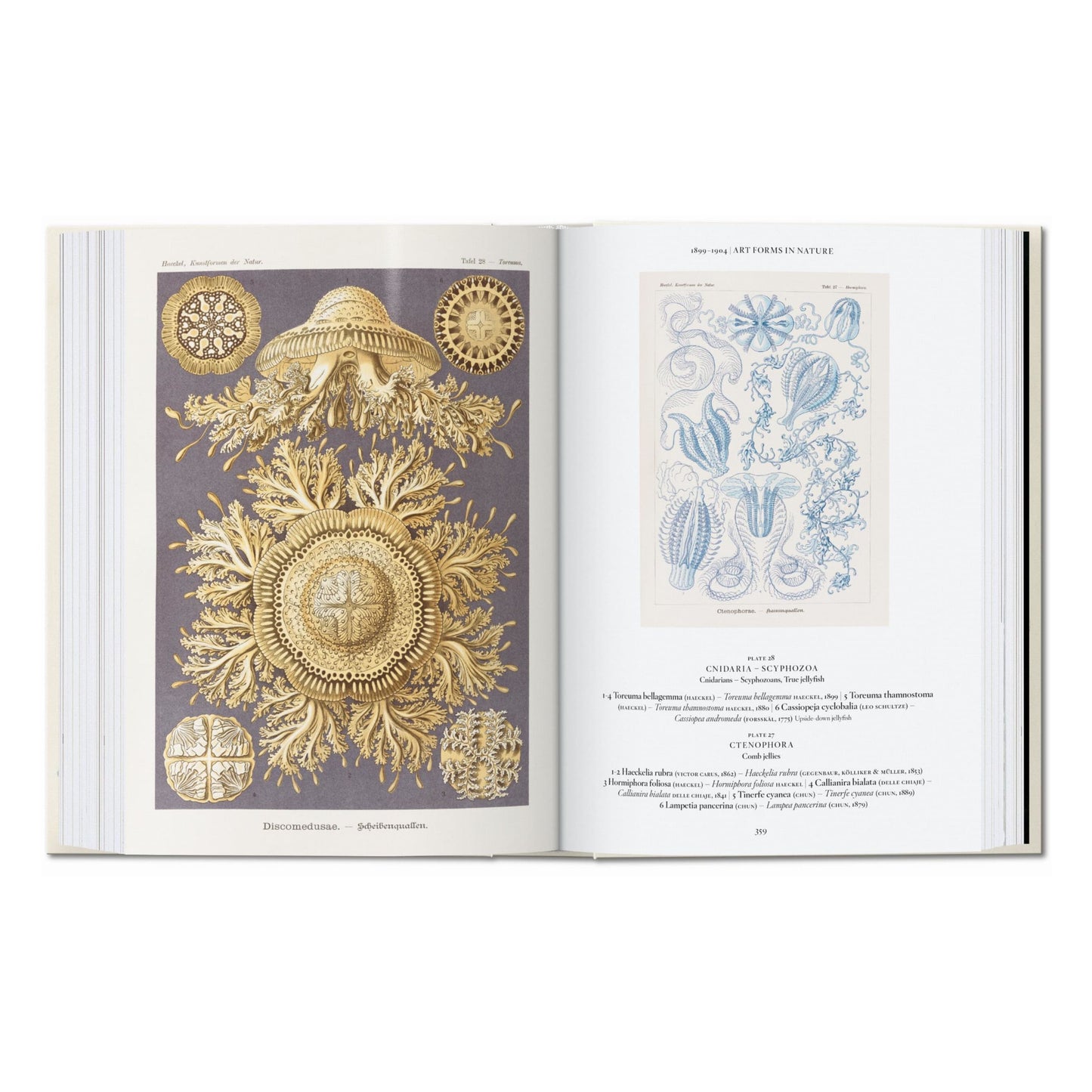 The Art and Science of Ernst Haeckel. 45th Ed. (English) Book