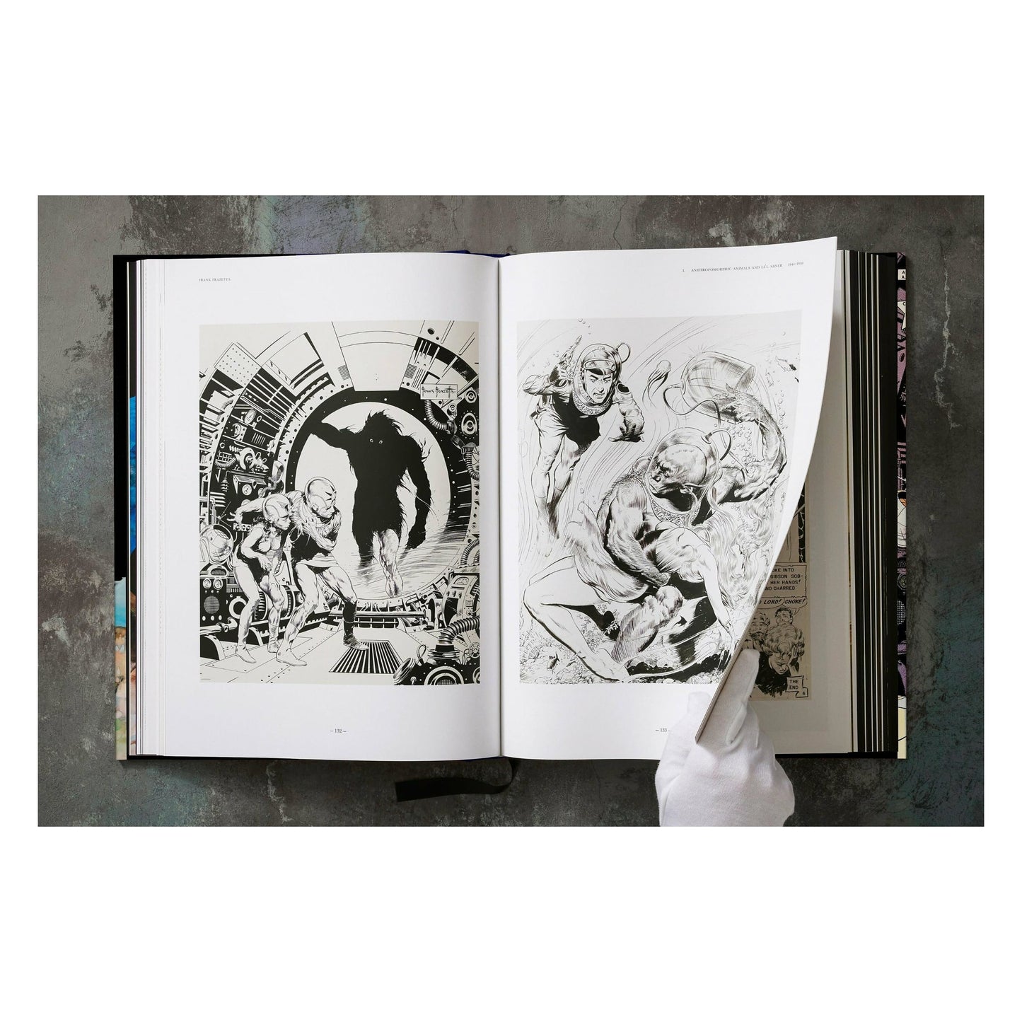 The Fantastic Worlds of Frank Frazetta (German, French, English) Book