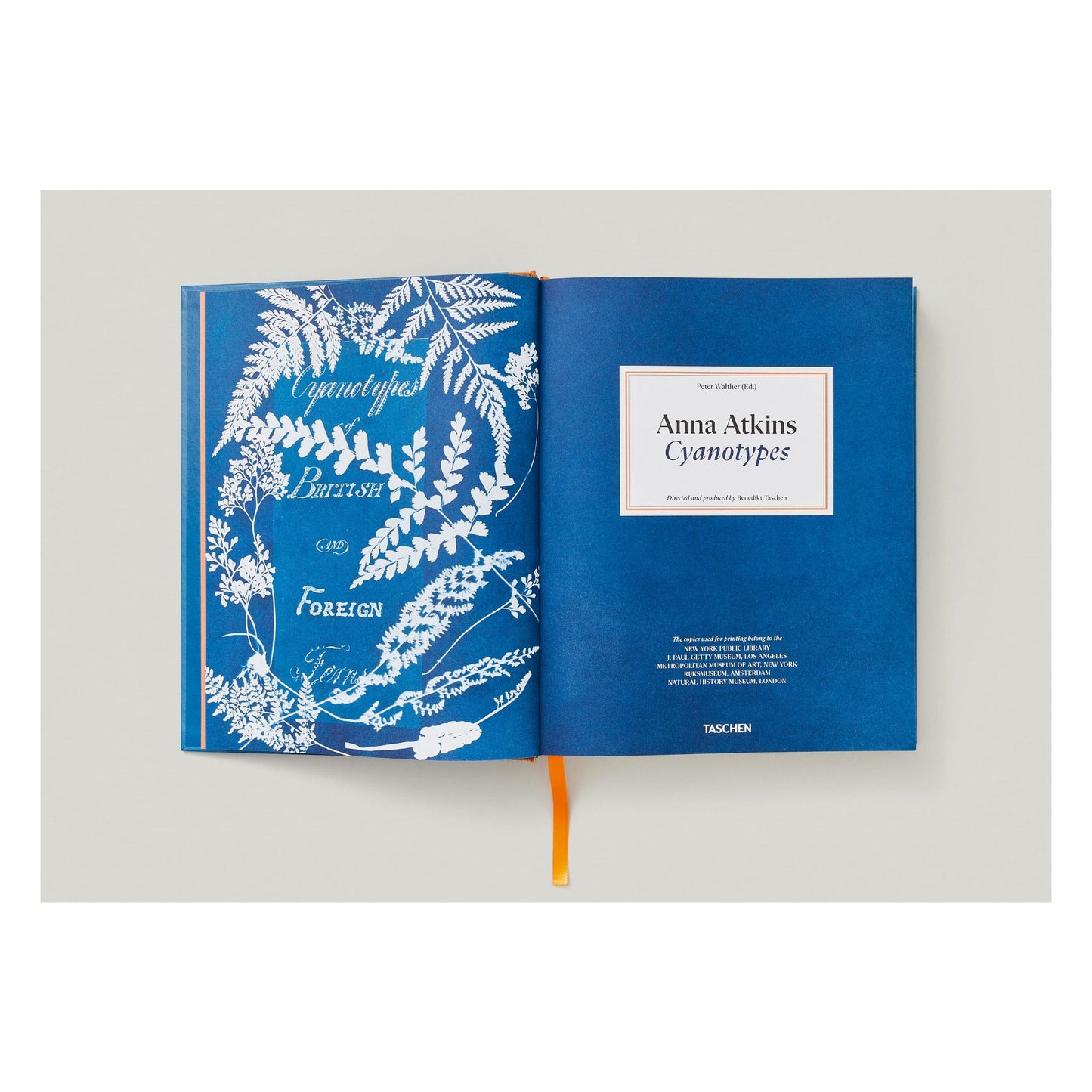 Anna Atkins. Cyanotypes (German, French, English) (FFE) Book