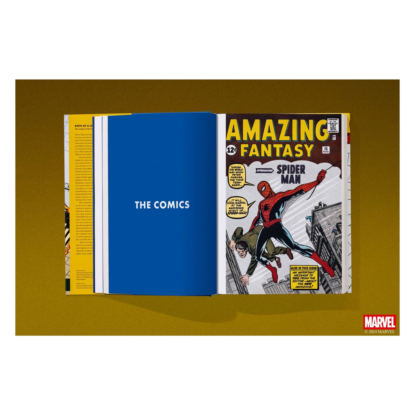 Marvel Comics Library. Spider-Man. 1962–1964 (English) Book