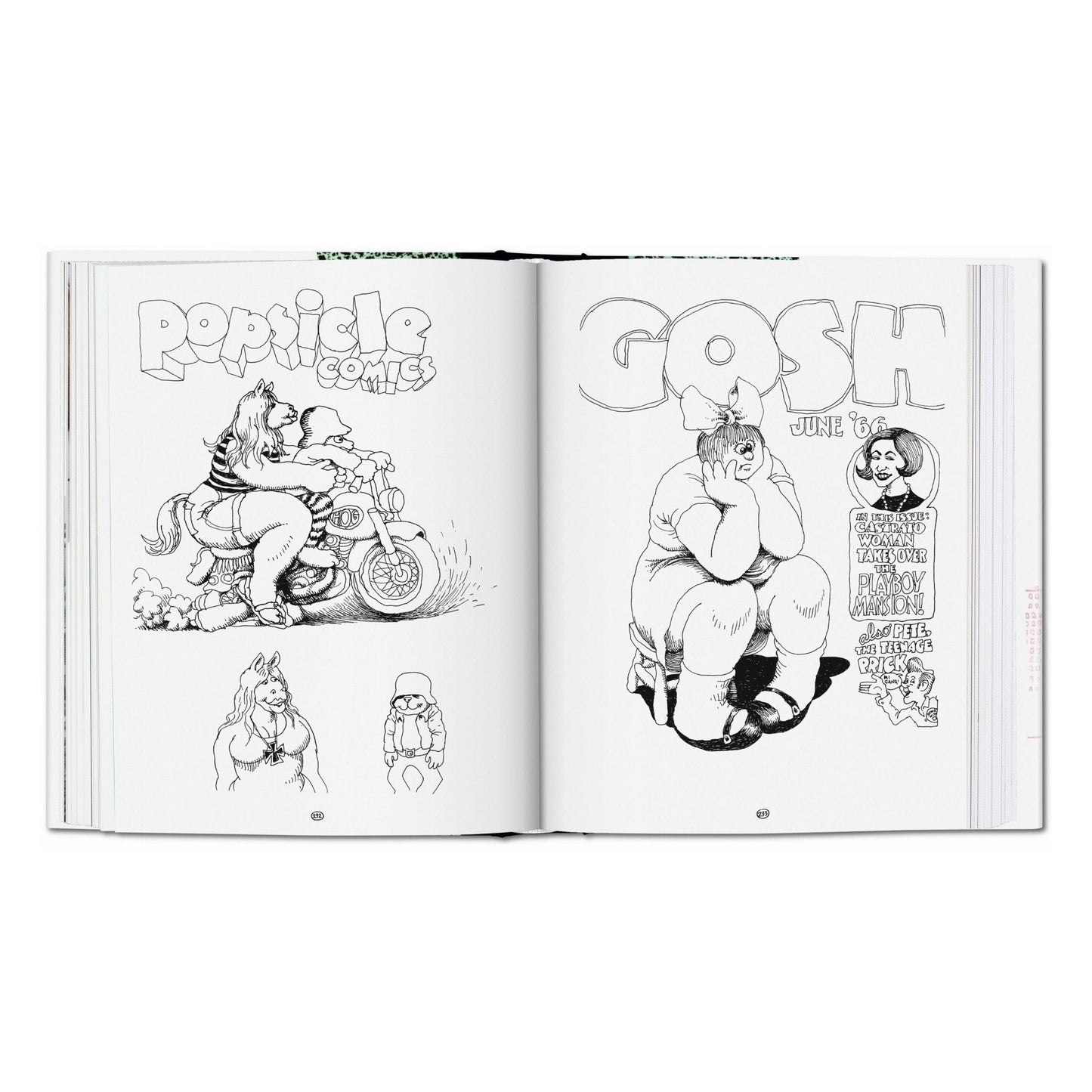 Robert Crumb. Sketchbook Vol. 1. 1964–1968 (English) Book