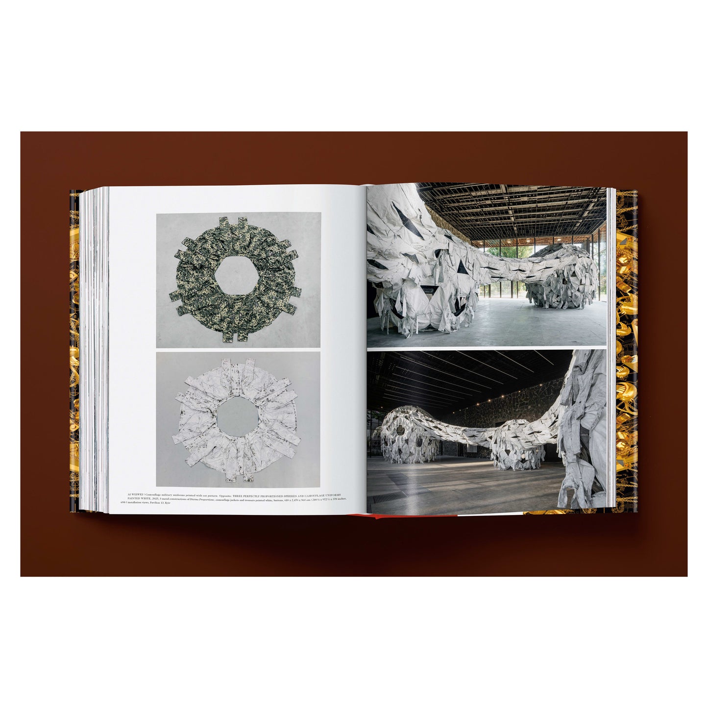 Ai Weiwei. Updated Edition (German, French, English) Book
