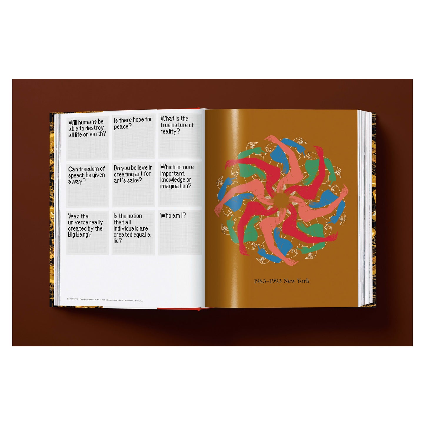 Ai Weiwei. Updated Edition (German, French, English) Book