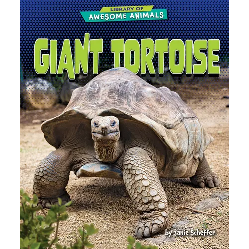 Giant Tortoise