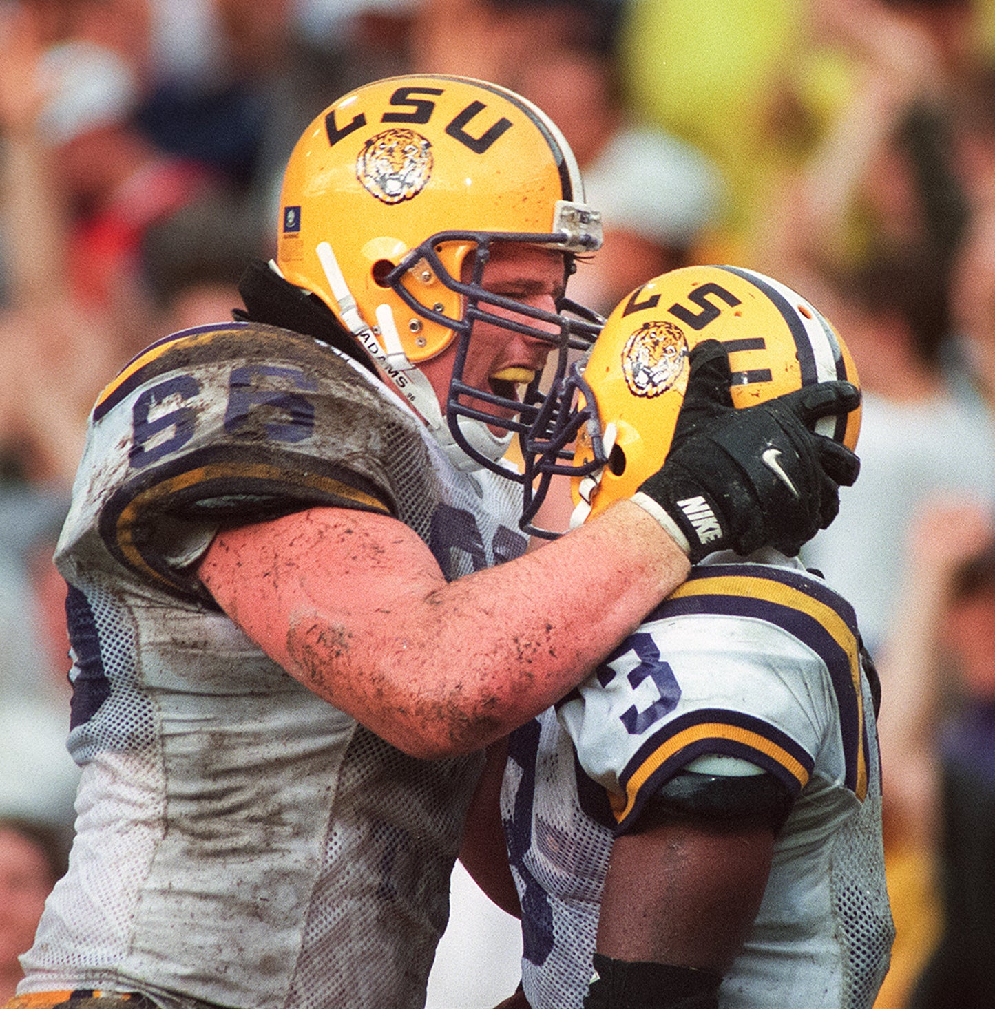 LSU by the Numbers: The Greatest Tigers in History (and Those Who Almost Made It) Book
