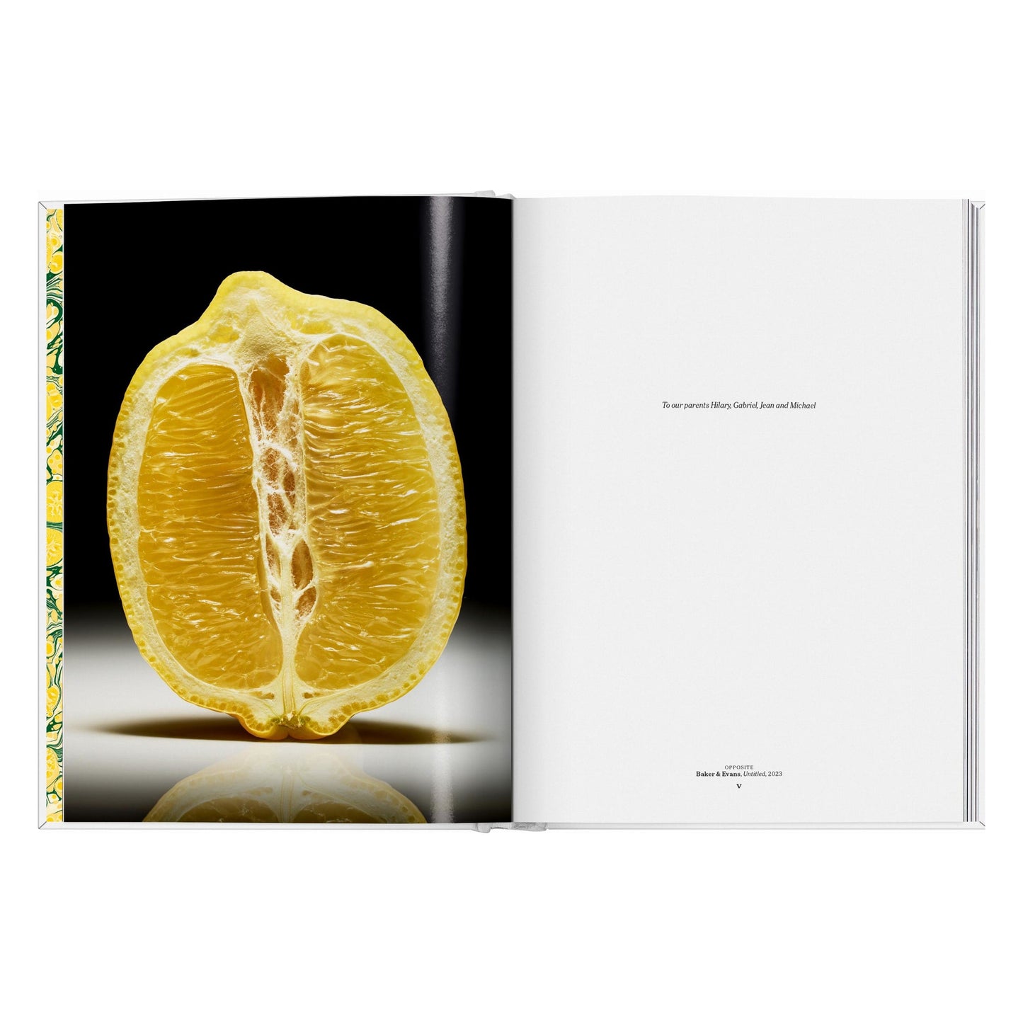The Gourmand's Lemon. A Collection of Stories and Recipes (English) Book