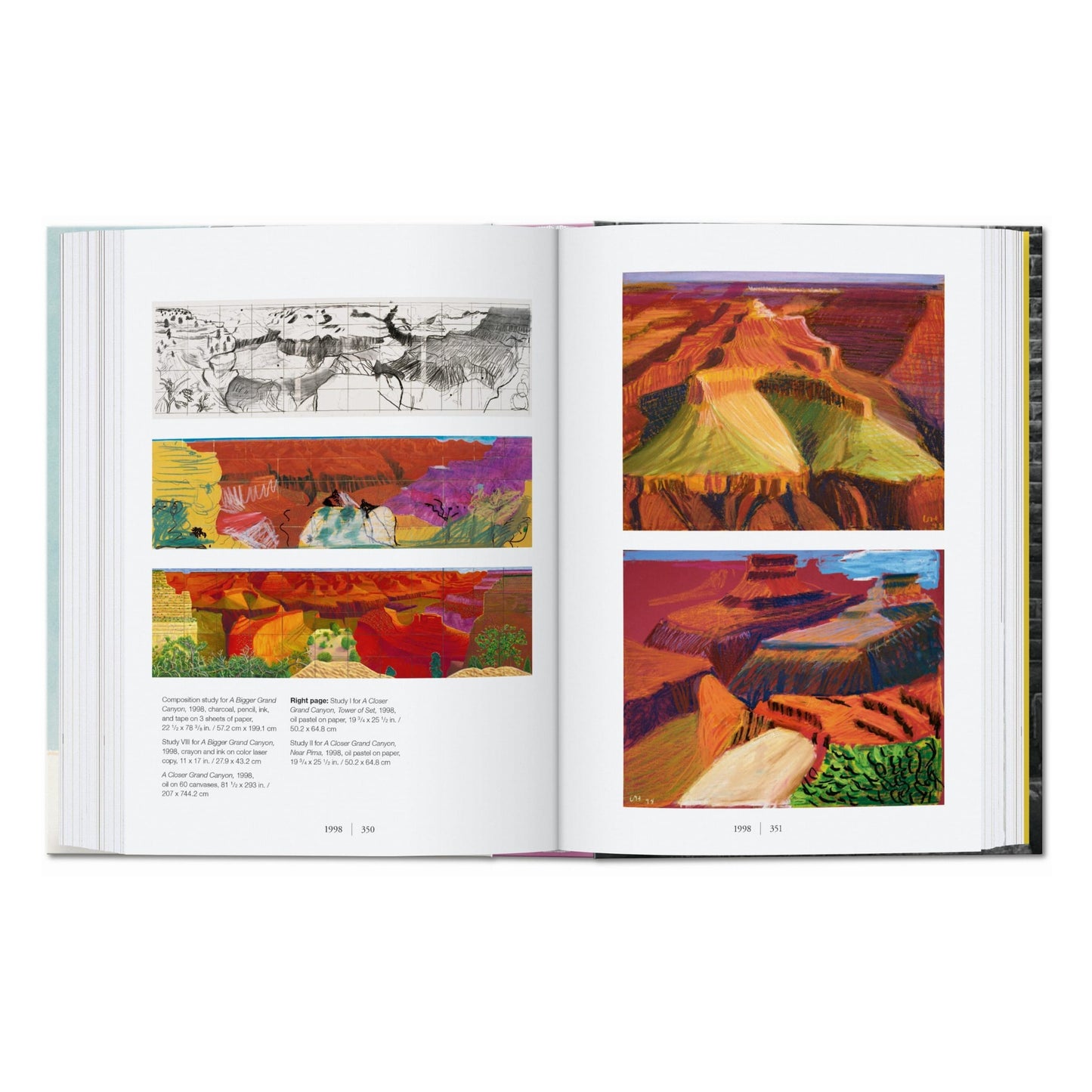 David Hockney. A Chronology. 45th Ed. (English) Book