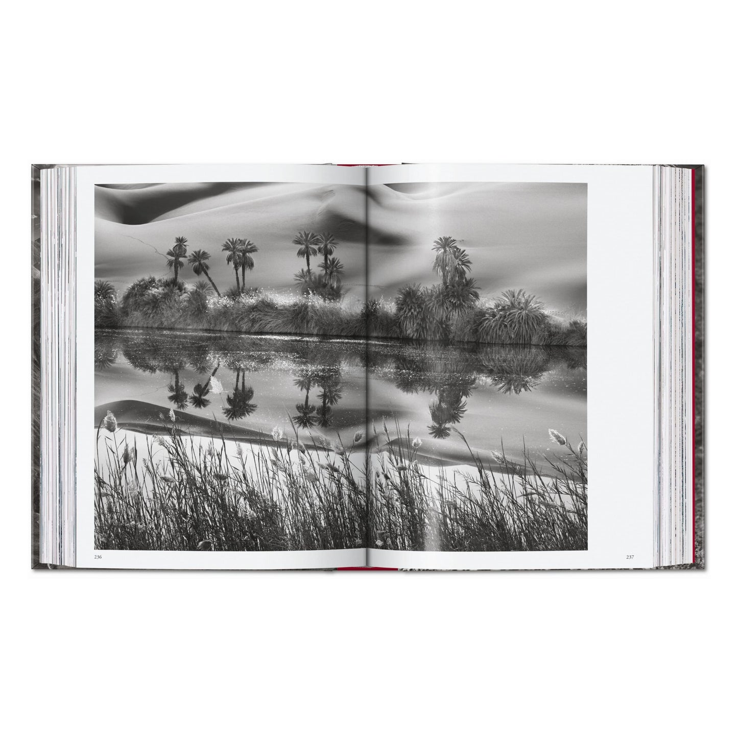 Sebastião Salgado. Genesis. 45th Ed. (English) Book