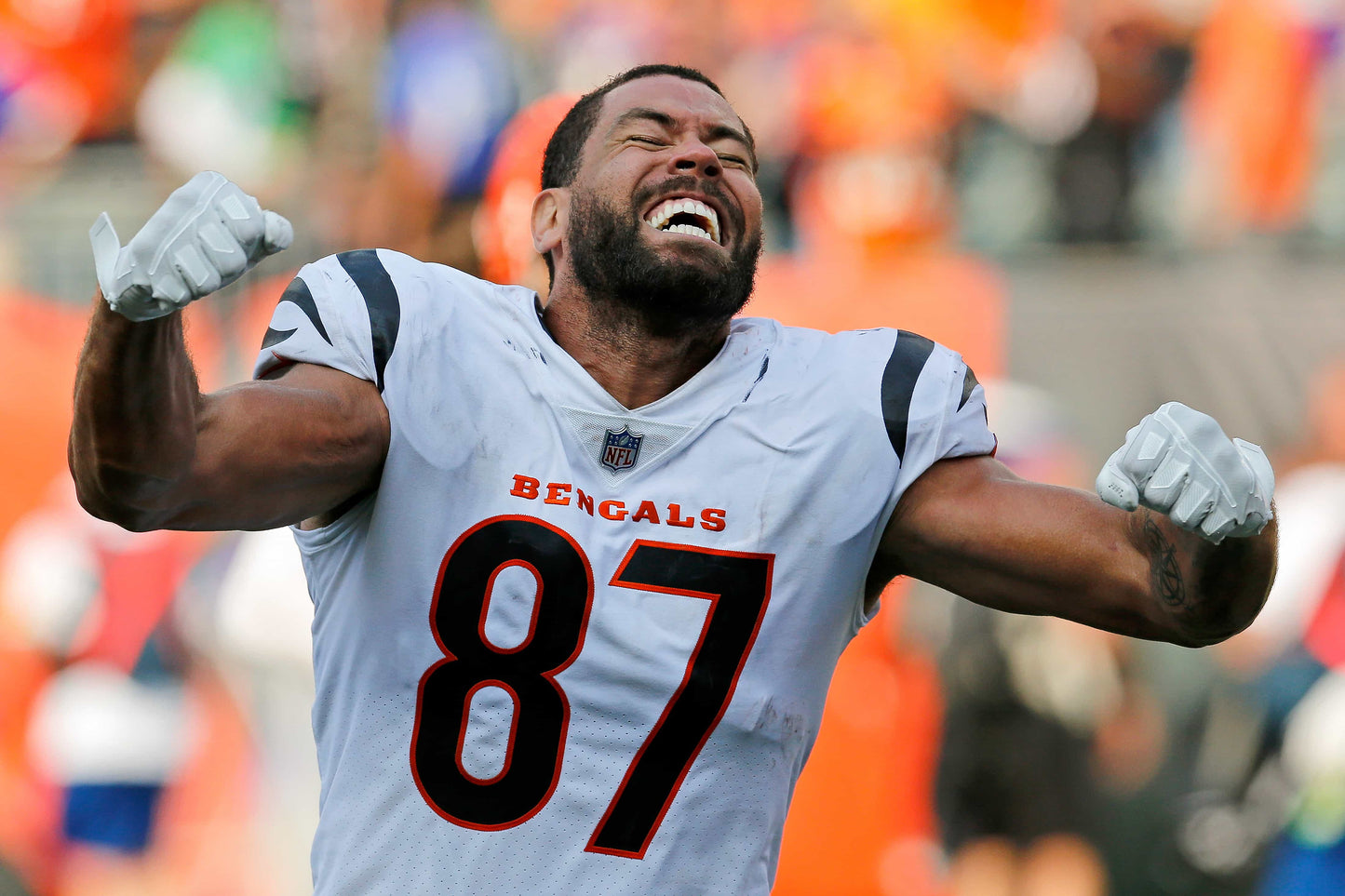 Rule Them All: How the Cincinnati Bengals Captured Their First AFC Title in Three Decades Book