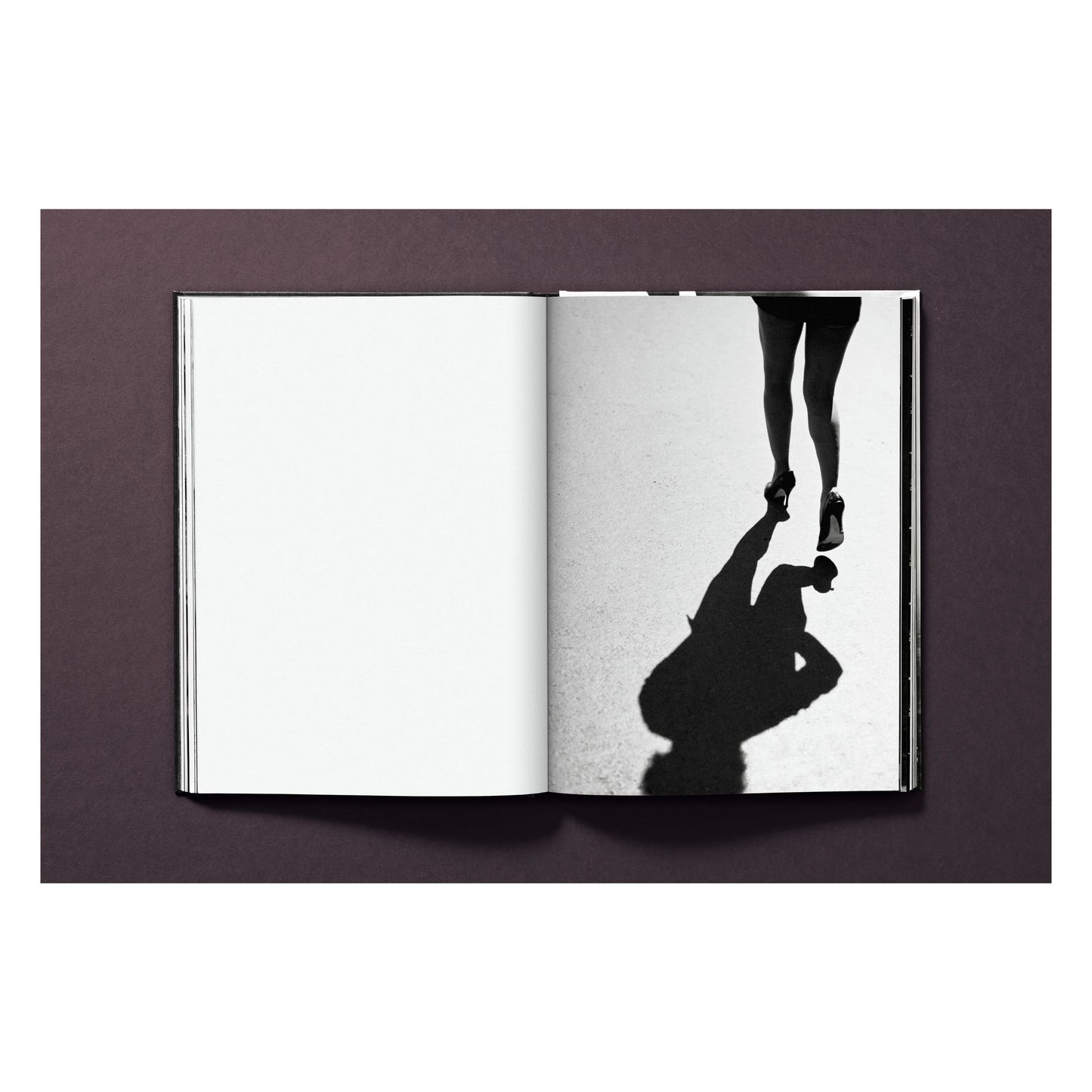 Tina Turner by Peter Lindbergh (German, French, English) Book