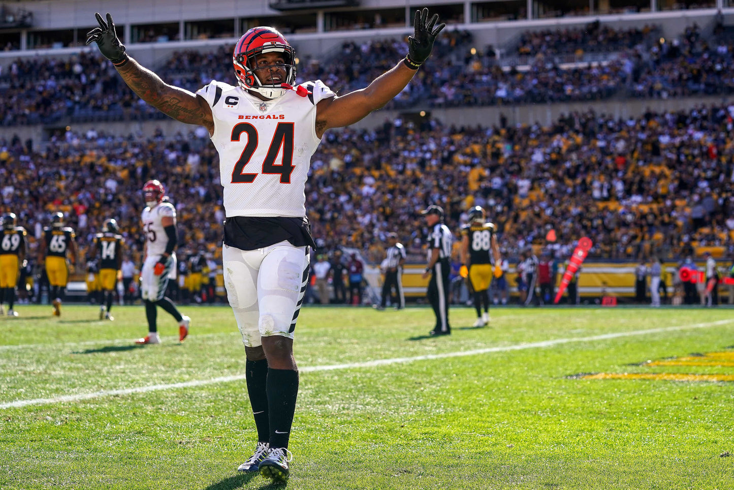 Rule Them All: How the Cincinnati Bengals Captured Their First AFC Title in Three Decades Book