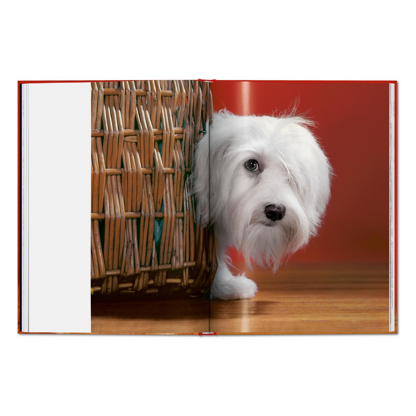 Walter Chandoha. Dogs. Photographs 1941–1991 (English) Book