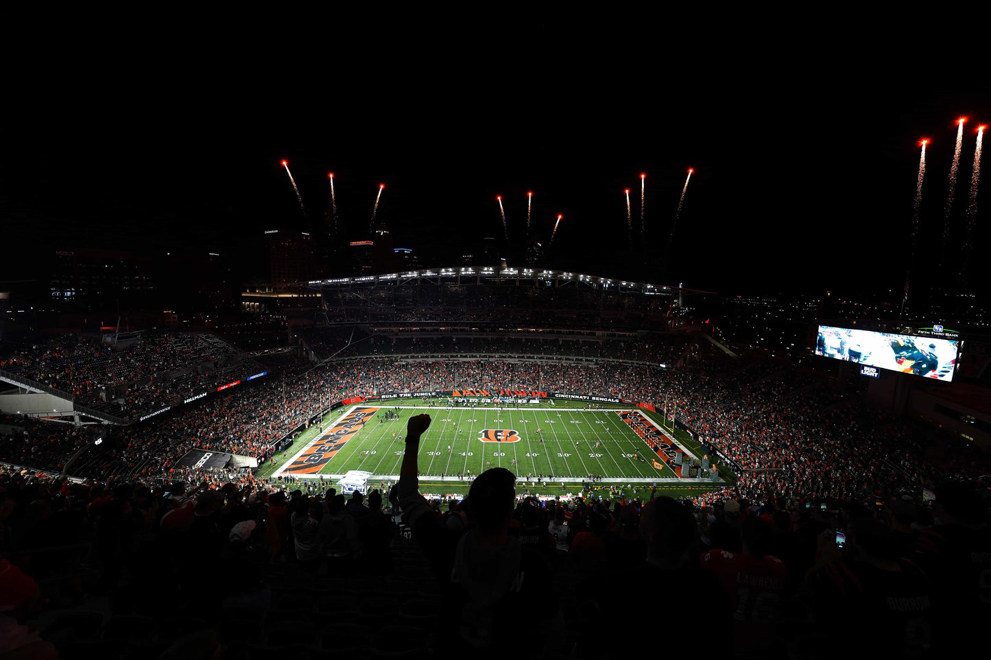 Rule Them All: How the Cincinnati Bengals Captured Their First AFC Title in Three Decades Book