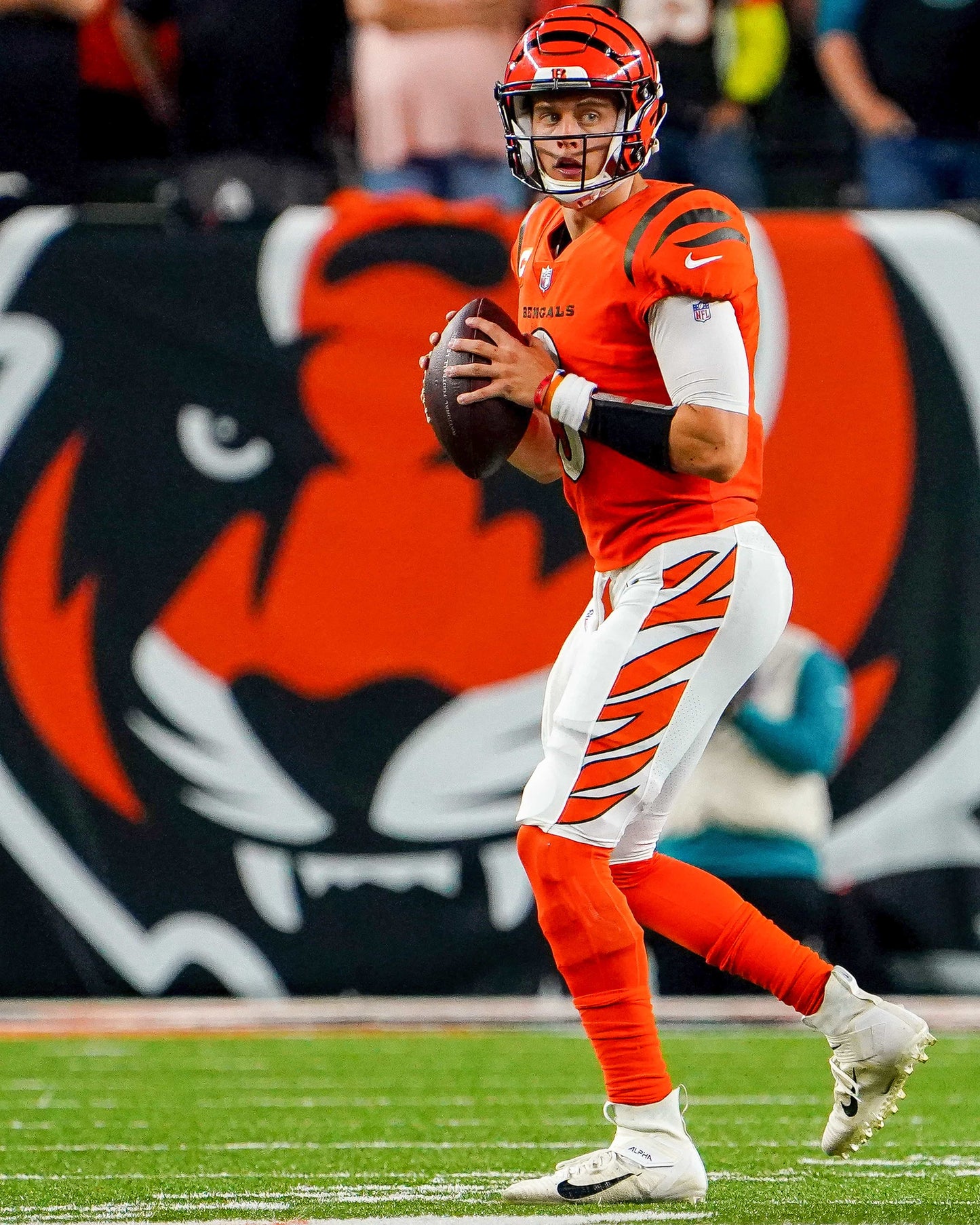 Rule Them All: How the Cincinnati Bengals Captured Their First AFC Title in Three Decades Book