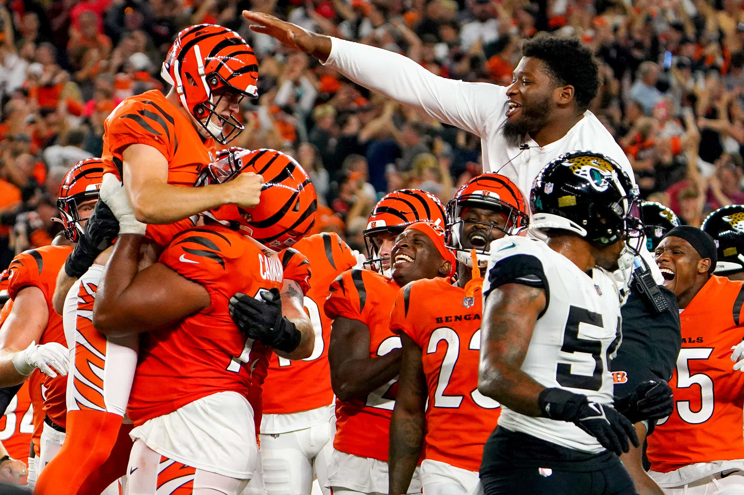 Rule Them All: How the Cincinnati Bengals Captured Their First AFC Title in Three Decades Book
