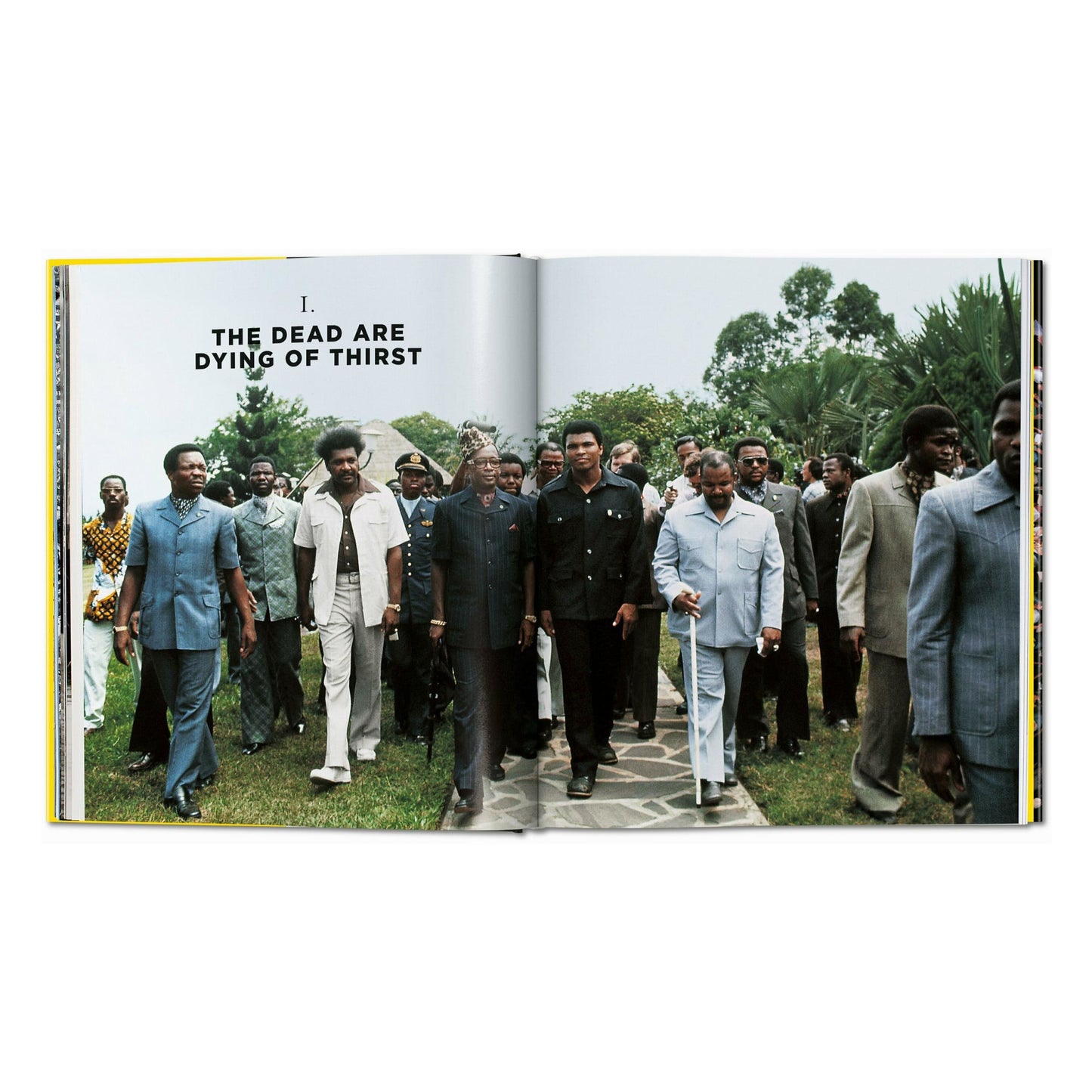 Norman Mailer. Neil Leifer. Howard L. Bingham. The Fight (English) Book
