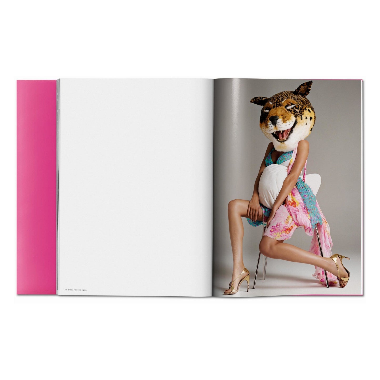 Gisele Bündchen (English) Book